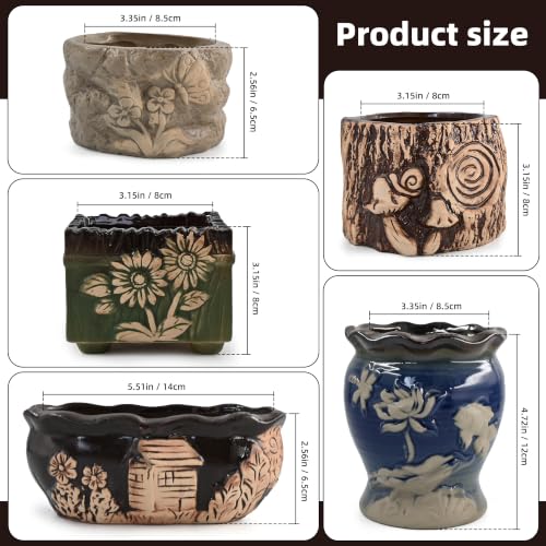 Succulent Garden Pots Ceramic Planter Small Plant Container with Drainage Set of 5 for Home Office Decor - color: C Set of 5