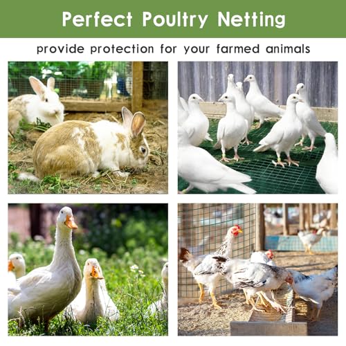 Tongmo 24" x 100' Green Hardware Cloth, 1inch Mesh Chicken Wire Fence, 19 Gauge Vinyl Coated Wire and Welded Wire Roll,Garden Fence, Poultry Netting for Rabbit/Duck/Chicken Coop