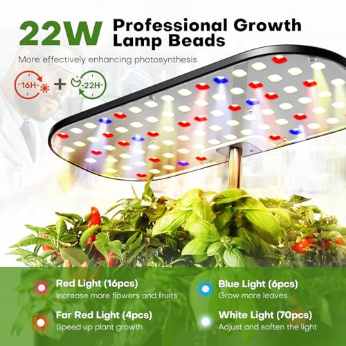 Ahopegarden Hydroponics Growing System Kit: 12 Pods with LCD Control Panel - color: Midnight Black