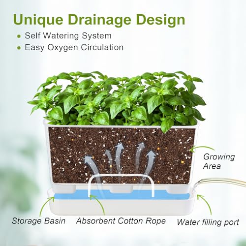 Oliz Self Watering Planters: 2 Packs Rectangular Plant Pots with with Drainage and Tray, 10 Inch Window Pot Self Watering Planter for Herb, Houseplants