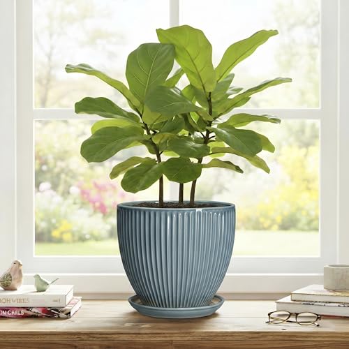 Ceramic Planter, 8 Inch Plant Pot Indoor with Saucer, Glaze Blue - color: Glaze Blue, size: 8 Inch