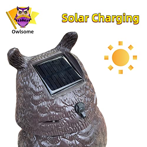 Owlsome Solar Owl with Glowing Eyes, Rotating Head, Hoot Sound, Motion Detector and Silent Mode, Plastic Owl Garden Sculpture, Garden Decoration