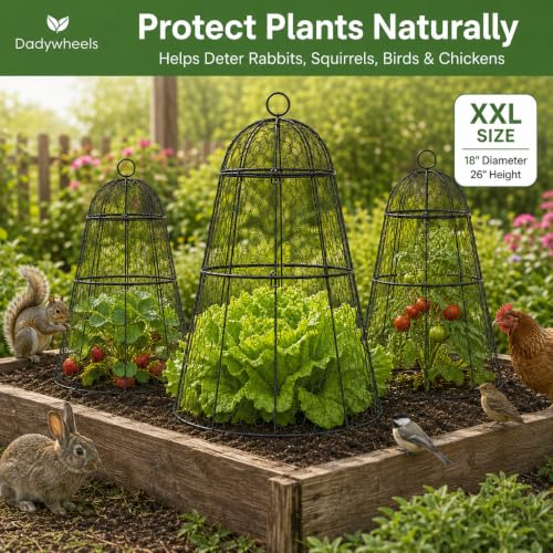 Easy-Snap Open Design Chicken Wire Cloche (6-Pack) - Adjustable Garden Plant Protectors from Birds & Animals for Large Plants & Flowers,18" D x 26" H - size: XXL / 18"D x 26"H