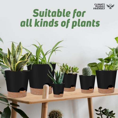 YNNICO Indoor Self Watering Planters with Drainage Holes and Saucers, 8, 7, 6.5, 6, 5.5, 5 Inches, Black, 6 Pots - color: Black, size: 8+7+6.5+6+5.5+5 inch