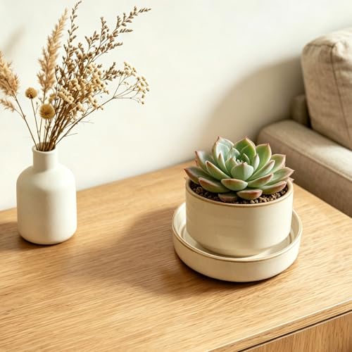 Plant Saucers, 4-Pack 4.5 Inch Ceramic Plant Saucers, Glazed Plant Pot Saucers, Drainage Drip Water Tray, Plant Trays to Catch Water for Indoors Outdoors Succulents Small Potted Plants (White) - color: White