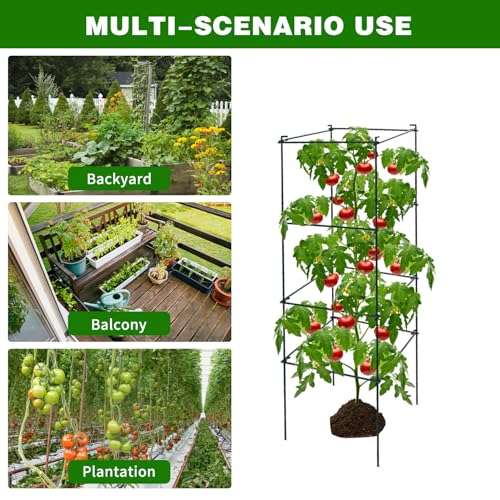 6 Packs Tomato Cages for Garden, 12"×12"×39" Plant Support Cage with Different Spacing, Green Metal Trellis for Climbing Plants Like Cucumber, Flowers - size: 12"×12"×39" 6 Packs