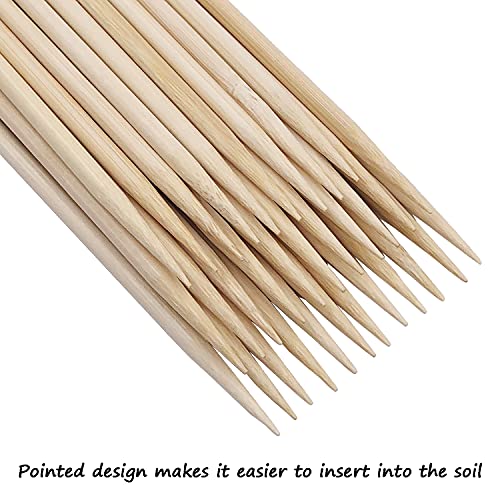 Bamboo Plant Stakes25Pack,HAINANSTRY 14Inch Plant Supports With25Green Ties - color: Burlywood, size: 14 Inch 25Pack