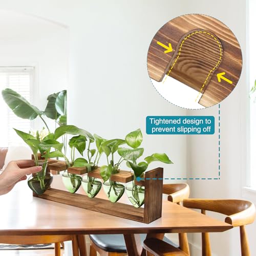 Plant Terrarium Hanging Propagation Stations Gift for Women - color: Green