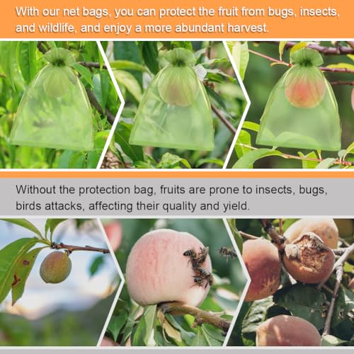 Shintop 100Pcs Fruit Protection Bags, 6x9inch Green Fruit Tree Net Cover - size: 6x9 inch