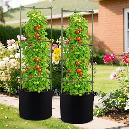 GENMOUS Tomato Cages with Grow Bags - 48 Inch Tomato Trellis for Raised Garden Bed, 3-Pack Tomato Plant Support, with 10 Gallon Plant Grow Bags, Reusable and Height Adjustable