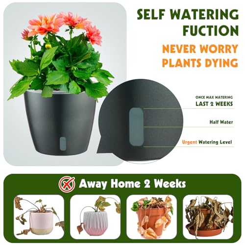 Self Watering Pots for Indoor Plants, 6-Pack 6.7'' Self Watering Planter with Drainage Holes, Small African Violet Pots with Water Indicator, Clear Wick Orchid Pot, Grey - color: Grey/6 Pack, size: 6.7"