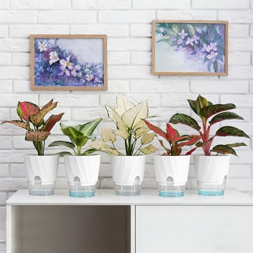 KIMCHOMERSE Self Watering Plant Pots, 6 Inch Indoor Plant Pots 6 Pack - color: White, size: 6 Inch Set of 6