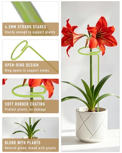 12-Pack Plant Support Stakes for Indoor Plants, Monstera Plant Support & Tall Sticks, Heavy Duty Adjustable 15.8-Inch Garden Stakes for Amaryllis, Snake Plant, Indoor Outdoor Use - size: 15.8-Inch, 12-Pack