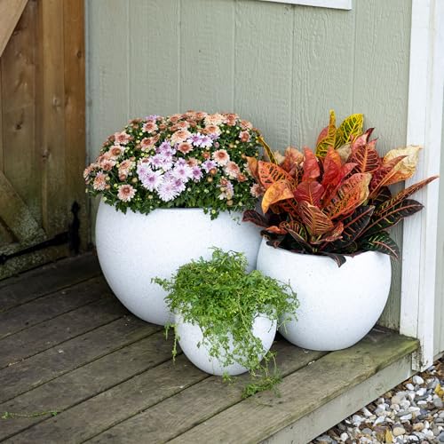 Beuta Large Poly Planters for Outdoor Plants - Set of 3, 8/12/14 Inches Outdoor Planters for Porch - Tall Planter for Outdoor & Indoor Plants | Large Indoor Plant Pot - USA Made - Limewash - color: Basin - Limewash