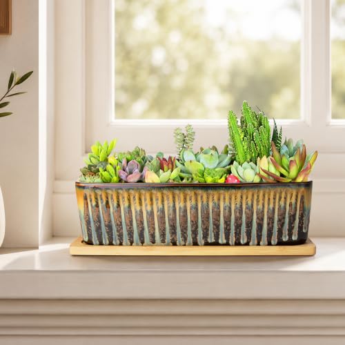 Succulent Pots, 12'' Long Rectangle Planters with Tray, Windowsill Planter - color: Flow Glaze