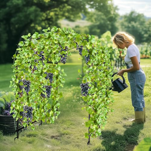 unho 63inch Garden Trellis Arch: for Climbing Plants with Net Metal - size: 41*64*63inch