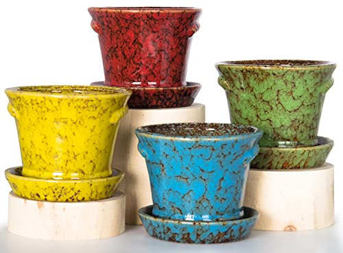 Succulent Pots, 4.2 Inch Small Flower Pots with Drainage - color: Blue/Green/Red/Yellow