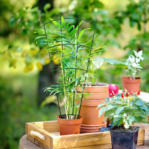 Thealyn 24" Metal Plant Trellis, Climbing Plant Support, 4 Pack (Green) - color: Green, size: 24 inch