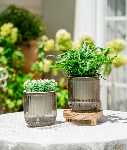 Melphoe Self Watering Pots for Indoor Plants Planter, 4.7 Inch 2 Pack Planters Self Watering Plant Pots for Flower, Houseplants, Succulent, African Violets and Cactus with Drainage - color: Light Grey, size: 4.7''