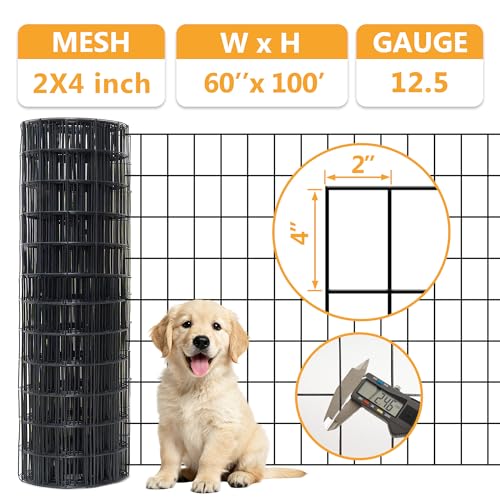 Black Metal Garden Fence, 60inch(H) x 100ft(L), 2 inch x 4 inch,12.5GA 2/3/4/5/6 Ft Tall Chicken Wire PVC Coated Welded Wire Mesh Roll for Dogs Border Yard Vegetable Plant Protection Poultry Netting - color: Black, size: 12.5GA 2x4 60"x100'