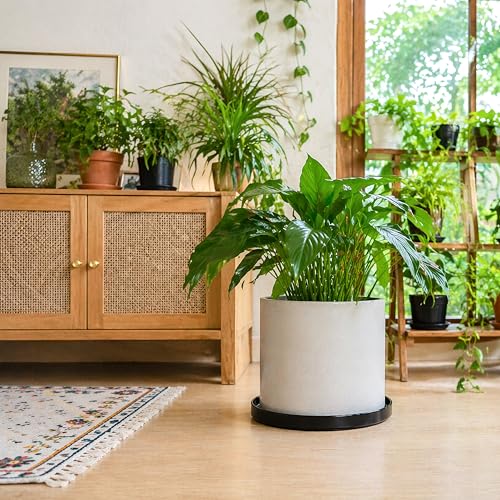 D'vine Dev Ceramic Plant Saucer/Drainage Tray, 11.8 in, Black, 97-T-B-6 - color: Black, size: 11.8" (1 Pack)