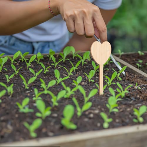 20Pcs Wooden Heart Design Plant Labels Garden Markers for Potted Plants Durable Wooden Tags for Plant Identification and Decoration Indoor and Outdoor Use