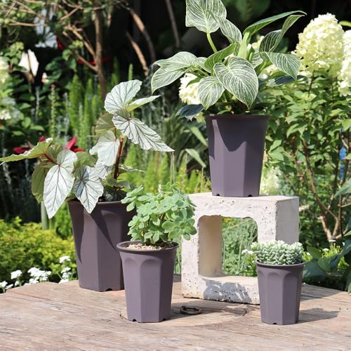 8 Pack 6.10 Inch Plastic Deep Nursery and Seedling Pots, Round Transplant Seed Starter Planter, Gray Color - color: Gray, size: 6.10 inch