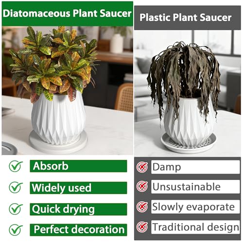 Diatomaceous Earth Plant Saucer, Round Pot Saucers, 2 Pcs 6 Inch - color: 2pcs White Small