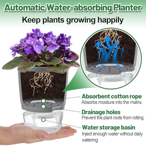 Aulock 6 pcs Self Watering Plant Pots for African Violet, 4.1/3.2 in