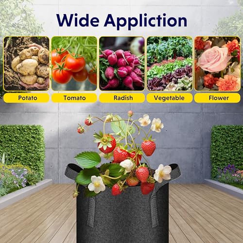 iPower Plant Grow Bag 3 Gallon 20-Pack Heavy Duty Fabric Pots, 300g Thick Nonwoven Fabric Containers Aeration with Nylon Handles, for Planting Vegetables, Fruits, Flowers, Black - color: Black, size: 20pack