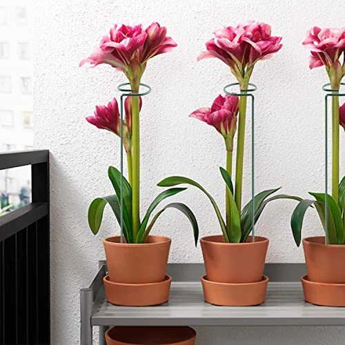 HiGift 10 Pack 24 inch Plant Stakes and Supports, Metal Flower Stakes for Potted Plant Indoor, Garden Stakes for Tall Plant Single Stem Flowers Amaryllis Tomatoes Peony Lily Rose (61 cm Long) - size: 24 Inch-10 Pack