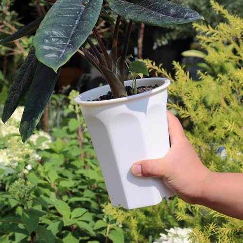 8 Pack 6.10 Inch White Plastic Deep Nursery Pot and Seedling Planter for Succulent, Cutting, Transplanting - color: White, size: 6.10 inch