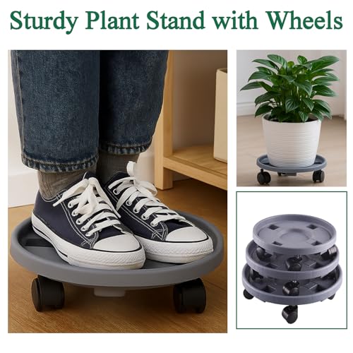 Rolling Plant Stand Outdoor 3 Pack 14 Inch Plant Caddy with Wheels, Grey - color: Grey, size: 14 inch