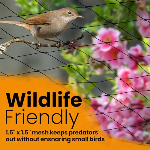 Harvesto Heavy Duty Bird Netting for Chicken Coops & Runs | Tree & Garden Netting Mesh 1-1/2" | Keep Hawks, Birds & Predators Away | Bird Netting for Blueberry Bushes, Vegetables & Fruit (25' x 100') - size: 25 x 100 ft