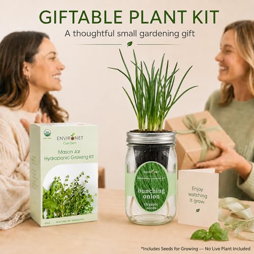 Hydroponic Vegetable Growing Kit, Self-Watering Mason Jar Vegetable Garden Starter Kit Indoor, Grow Bunching Onion from Organic Seeds (bunching Onion) - color: bunching onion