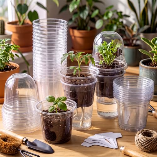 15 Pack 5" Self Watering Propagation Pots Clear, Plain Cup - size: 5"