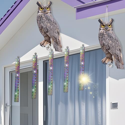 Flat Fake Owl to Keep Pigeon Away with Reflective Tape, Plastic Owls to Scare Pigeon Away from Porch Patio Balcony, 4Pcs Pigeon Scare Devices, Garden Owl to Scare Squirrel Woodpecker for Outdoor - color: Gray 02, size: 4 Pcs