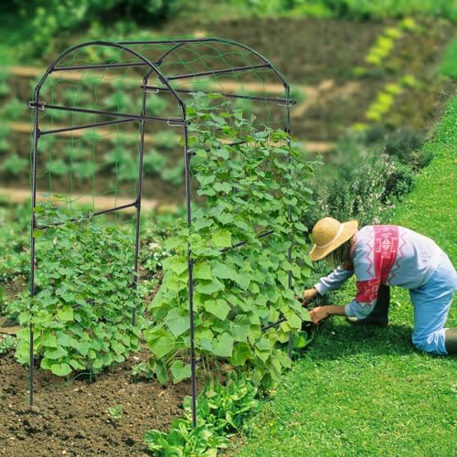 FOLLOOK Garden Arch Trellis for Climbing Plants Outdoor, 6.7ft, Black - size: 31.5" x 31.5" x 78.7"