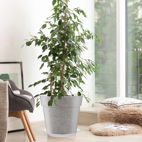 Baderke 3 Pack Clear Nursery Pot,9.25 Inches - size: 9.25 Inches