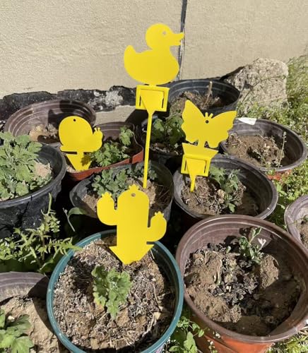 Gideal 24-Pack Dual-Sided Yellow Sticky Traps for Indoor/Outdoor Use, Gnat Trap for Flying Plant Insect Such as Fungus Gnats, Whiteflies, Aphids, Fruit Fly, Leafminers, etc - Cute Shapes - size: 24 Pack