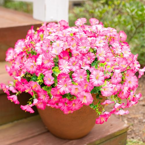 Artificial Flowers Fake Plants for Outdoors Decoration, 12 Bundles Pink Silk Morning Glory with Eucalyptus Realistic UV Resistant Faux Flowers Greenery for Outside Planter Yard Garden Home Indoor Urn - color: Gradient Pink