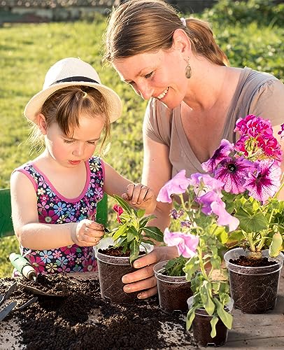 homenote 4 Inch Clear Nursery Pots for Plants with 20 Plant Labels (60 Pcs) - color: Transparency-no Lid, size: 4 Inch-60 Pack