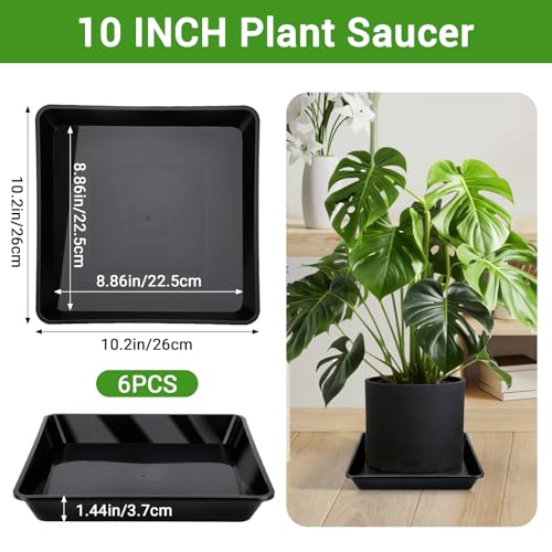 Greaner 6 Packs Square Plant Saucer, Plant Water Dray Tray, Durable Thick Plant Pot Dish for Flower Pot, Plastic Plant Tray to Catch Water for Indoor Outdoor(10 Inch, Black) - color: Black, size: 10"