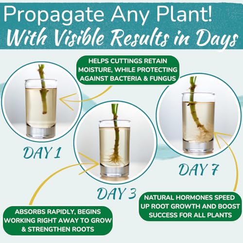Houseplant Prop Drops – Rooting Hormone for Cuttings & Propagation Promoter | Root Growth Hormone & Root Stimulator | Supports Faster Root Development in Water & Soil Propagation | 8 oz (Pack of 2) - size: 8 ounces (Pack of 2)