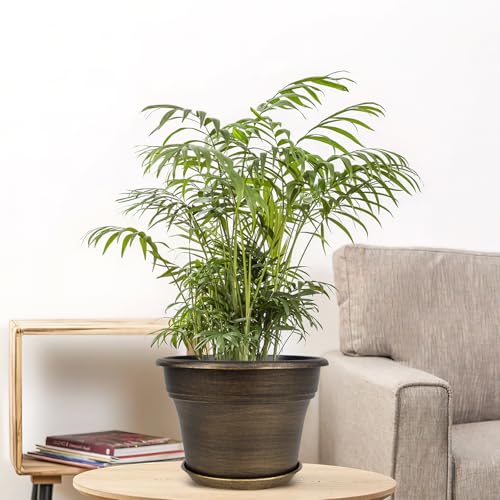 Fodetyff Planters-Plant-Pots-Indoor-Outdoor, 6 inch 6 Pack Gold - color: Gold, size: 6 inch-6 pack