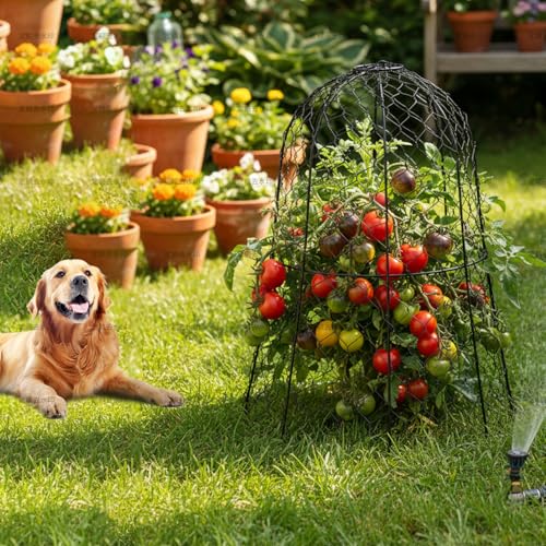 plant covers from animals 12pcs,wire plant protector cage 13"x15.7"H,Bell-Shaped Split Design,plant cages & supports plant cages to keep animals out for Vegetables,Flowers,Seedlings Against Rabbit - size: Integrated