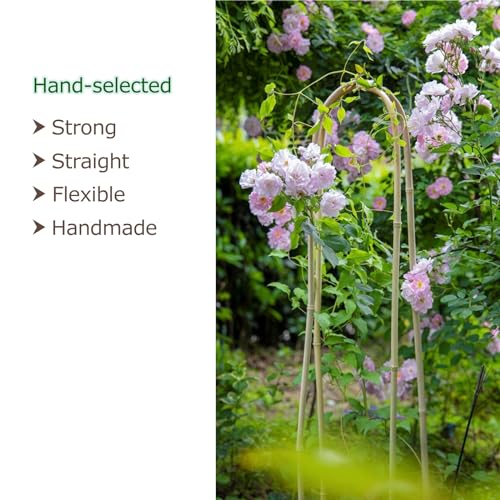 Cambaverd Bamboo Trellis 3 Feet, 3 Pack Arch Plant Trellis Indoor Outdoor - size: U-Shaped