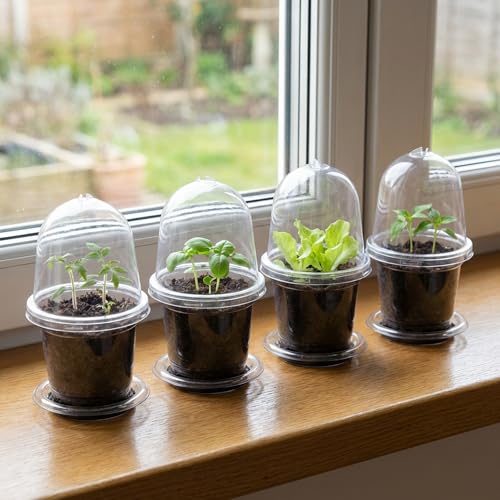 EBaokuup 20 Pack Self Watering Seed Starter Pot, 3 Inch Automatic Watering Plant Nursery Pots with Humidity Dome, Self Watering Nursery Pots for Potted Plants Seed Germination - color: 20 Pack-clear