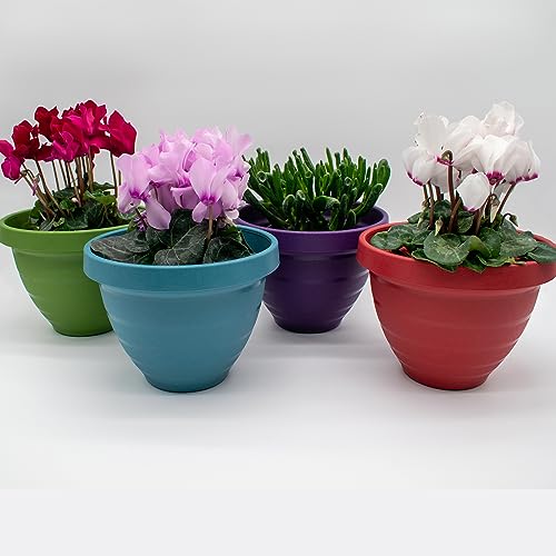 The HC Companies Rings Flower Planter - Self Watering Plant Pots for Herbs & More - Round Lightweight Outdoor & Indoor Planter (12" Dark Green, Pack of 1) - color: Dark Green, size: 12"