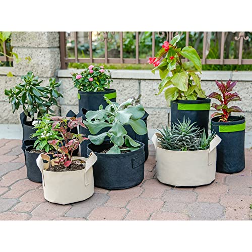 247Garden 5-Pack 1-Gallon Aeration Fabric Pot/Plant Grow Bag w/Handles (260 GSM, Black, 6H x 7D) - color: Black, size: 1 Gallon